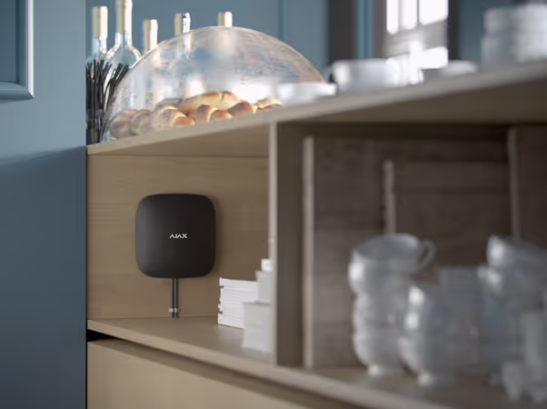 Centrale Hub 2 Plus